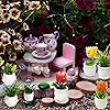 Product Photo 7
