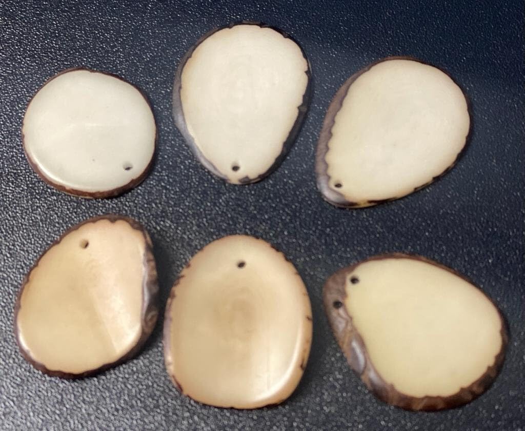 Tagua Mini Chips - Slices. 20 Beads | Vegetable Ivory Nut from Colombia, Corozo, Top drilled, Size: 2 x 2 cm. Natural Jewelry Supplies image 2