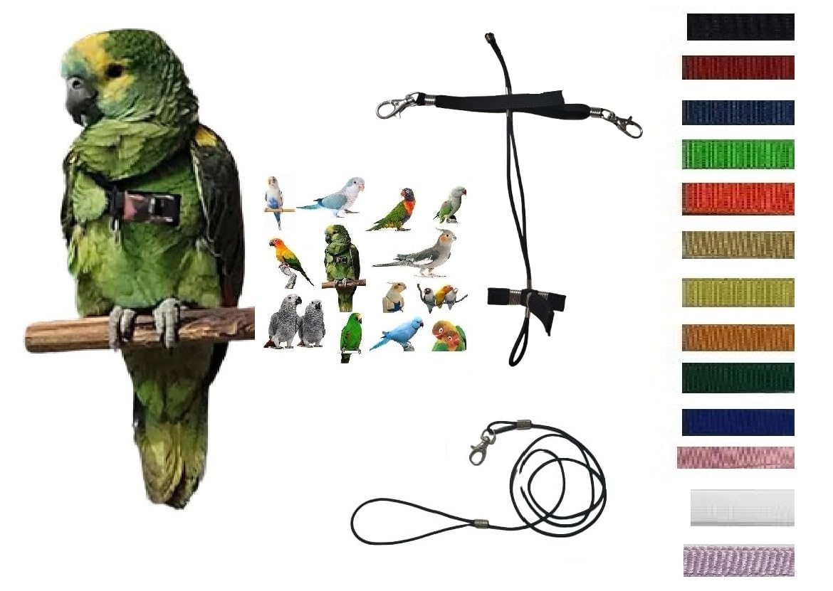 PETTORINA PAPPAGALLI regolabile MISURA MEDIA DA COCORITE AD AMAZZONI elastica 10mm collo sempre nero fasce colorate, 2 ganci attacchi METALLO GUINZAGLIO 3mm 1M (COLLO NERO FASCE VERDE FLUO)