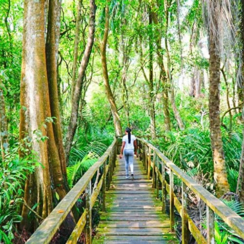 『"Kalmomin Rayuwa", "Bishara", "Waƙoƙin Linjila" - A Najeriya, Waɗannan Mutanen sun gaskata da 