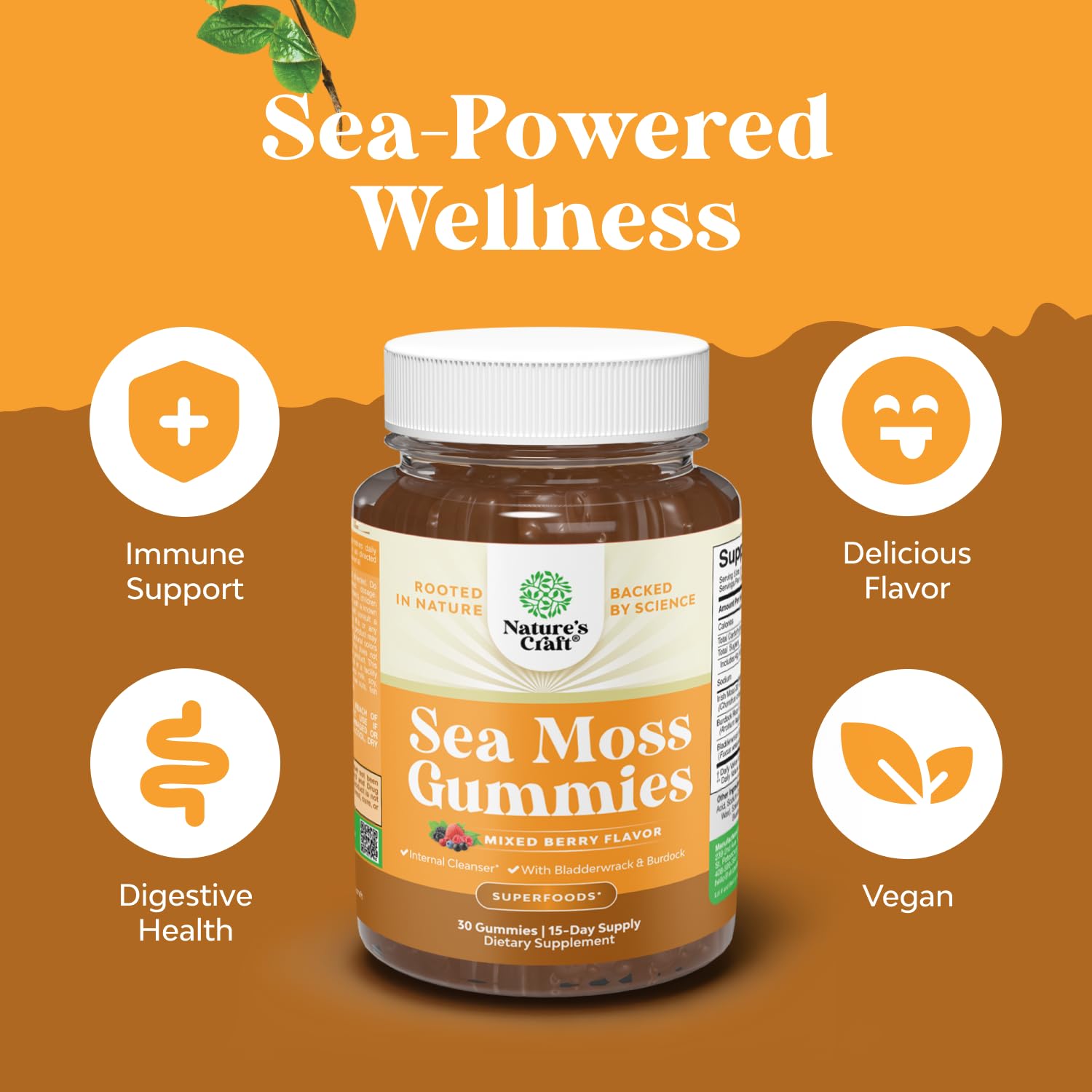 Irish Sea Moss Gummies with Bladderwrack & Burdock, Formula - 30 Count — Amazon image 5