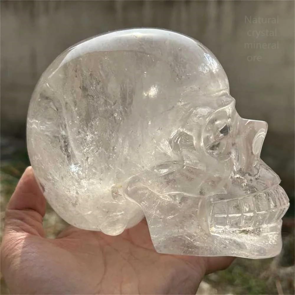Crystal Hand Sculpted Skull Quartz Home Decoration Decor(Size:300-350g)