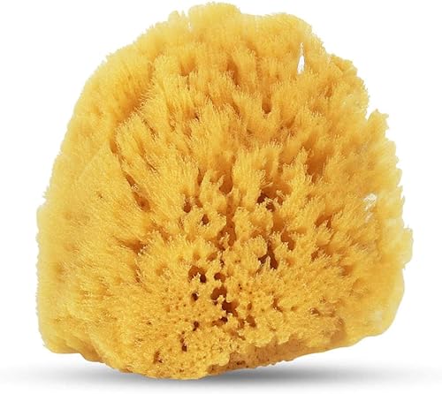 HartFelt Esponja suave exfoliante de mar amarillo de 4 pulgadas  Esponjas de ducha naturales para baño para hombres y mujeres  Espuma rica