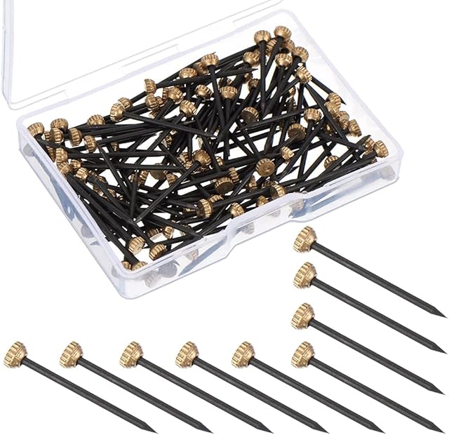 Hardened Picture Pins Knurled Brass Head, JPGhaha 100Pcs 1inch Hanging Pins Plasterboard MAX 2.5kg Frame Hangers Heavy Duty Picture Hanging Nails with Plastic Storage Box