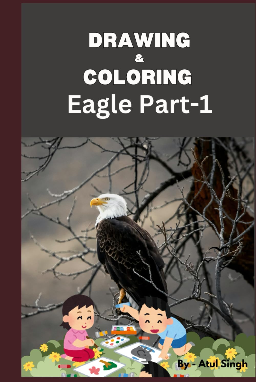 Livre de dessin aigle pour apprendre le croquis a main levee et le coloriage documentaire