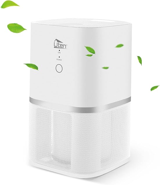 Air Purifier HEPA Filter Quiet Operation for Home Office Smoking Room against Dust Pollen Animal hair