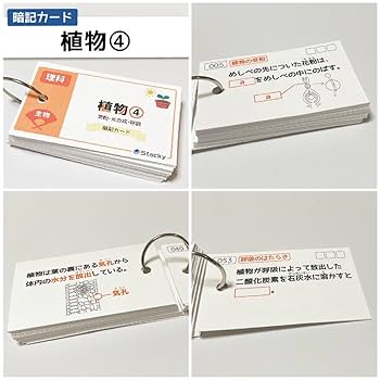 Amazon.co.jp: 中学受験 理科（生物）植物 暗記カードRK006