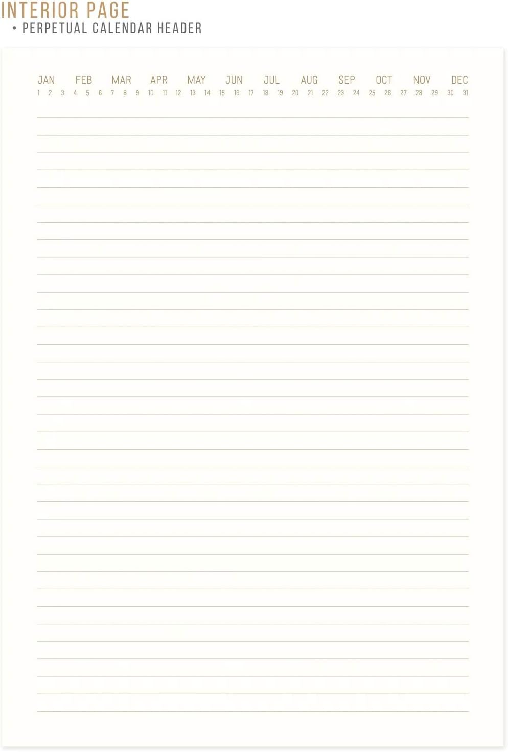 DesignWorks Ink, Standard Issue Notebook No. 80 (7.5″ x 10.25″), Blue