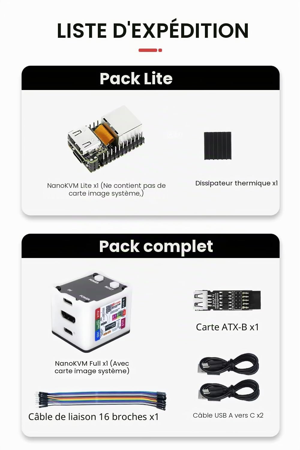 youyeetoo Sipeed NanoKVM Mini Remote Control Operations Maintenance Server, 1ToPS NPU 1 GHz C906 RISC-V Linux Linux PC avec port réseau de 100 m (noir complet paquet)