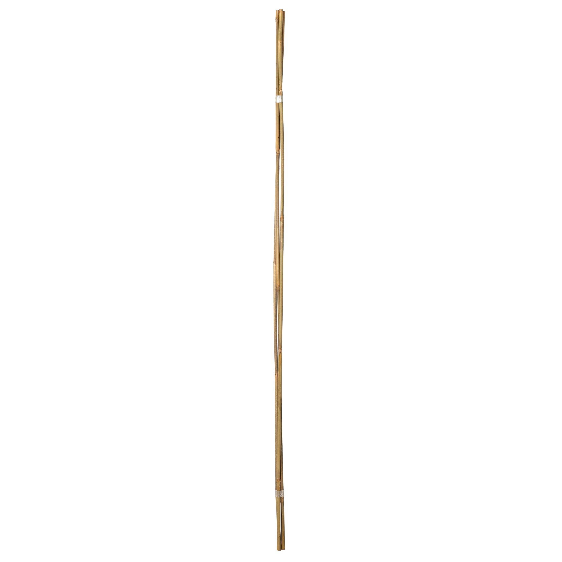 La Cordeline LTB150-20 20 Stück Bambus-Rankhilfe, Länge 150 cm, Durchmesser 10/12 mm
