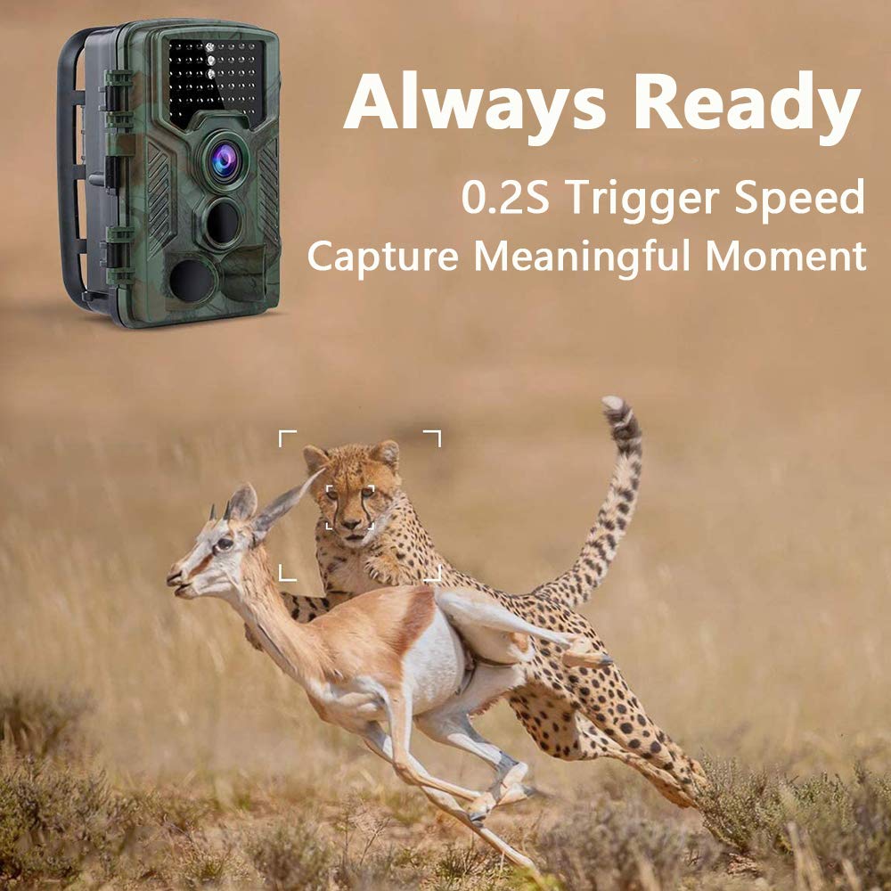 BraveKing Wildkamera 16MP 1080P Jagdkamera Nachtsicht 82ft/25M 0,2s Bewegungsmelder 120° Weitwinkel 2.4" LCD Display IP66 Wasserdicht IR Überwachungskamera mit Solarpanel und 32G Speicherkarte