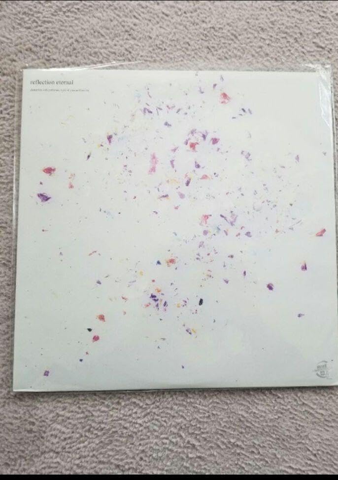レコード未使用 REFLECTION ETERNAL NUJABES｜邦楽