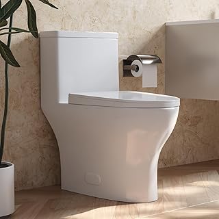 Toilets for Bathrooms, DeerValley DV-1F0073 One Piece Toilet Dual Flush 1/1.6 GPF MaP 1000g Chair Height 16.93