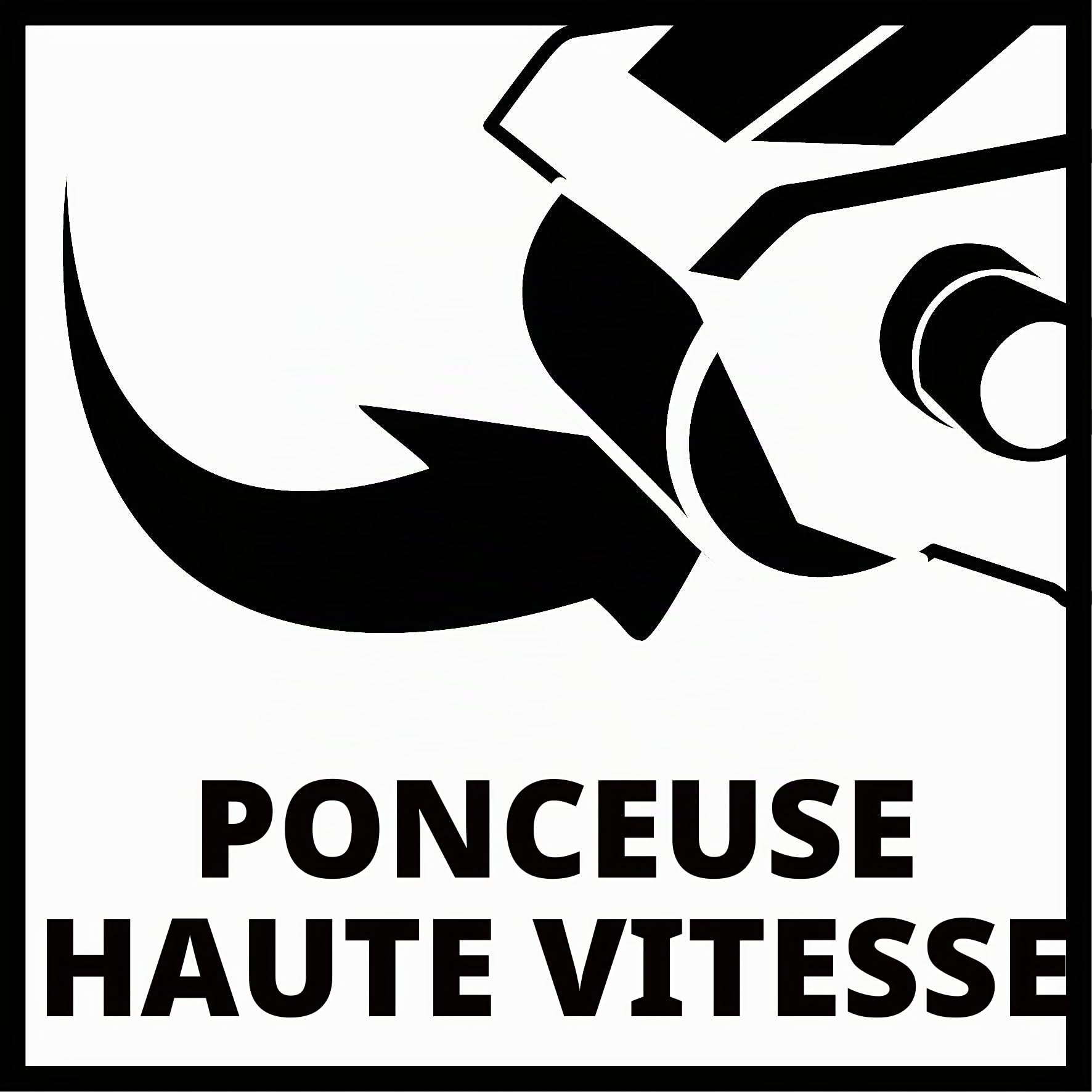 Einhell Ponceuse à bande TC-BS 8038 (800W, 230V, Système d'aspiration et sac à poussière)