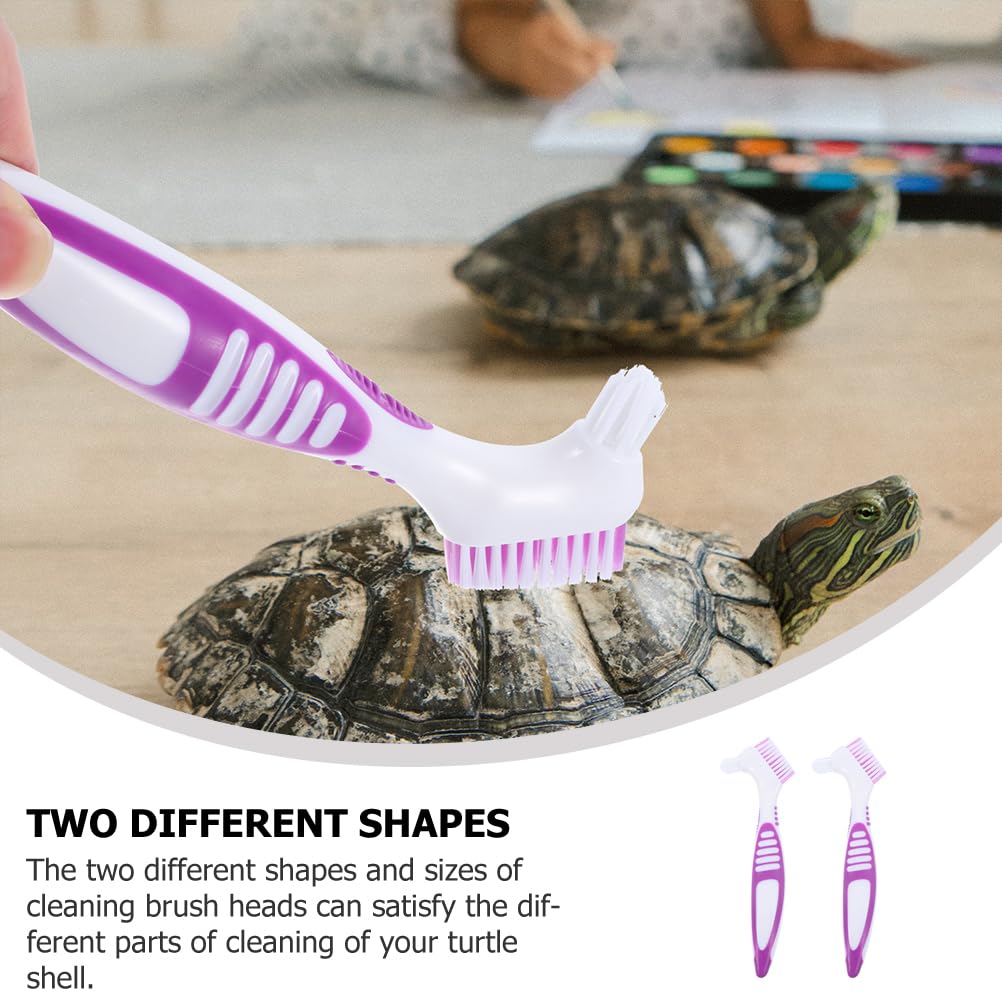 BESPORTBLE Turtle Cleaning Brush - Image 2