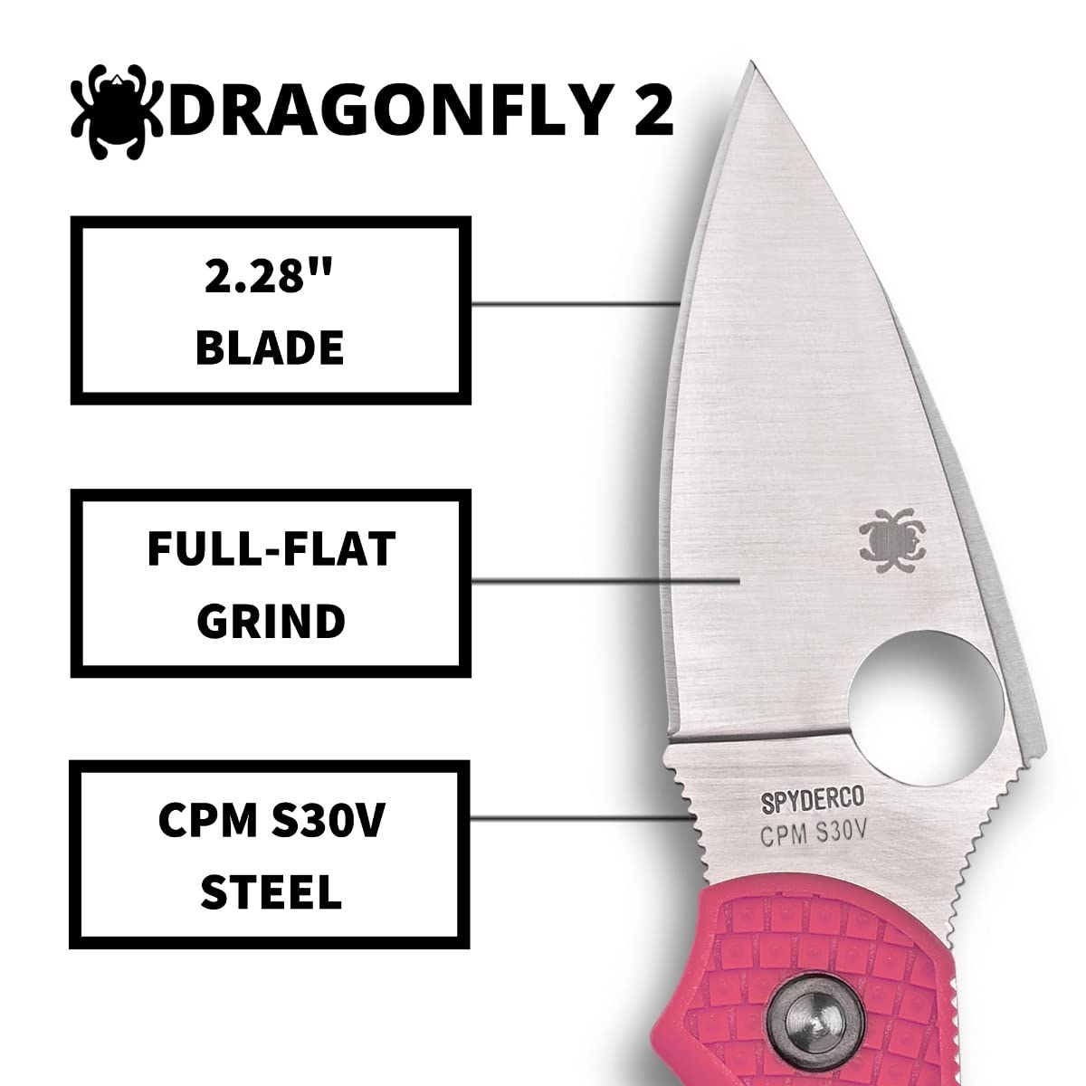 Amazon.com : Spyderco Dragonfly 2 Folding Pocket Knife with 2.2 