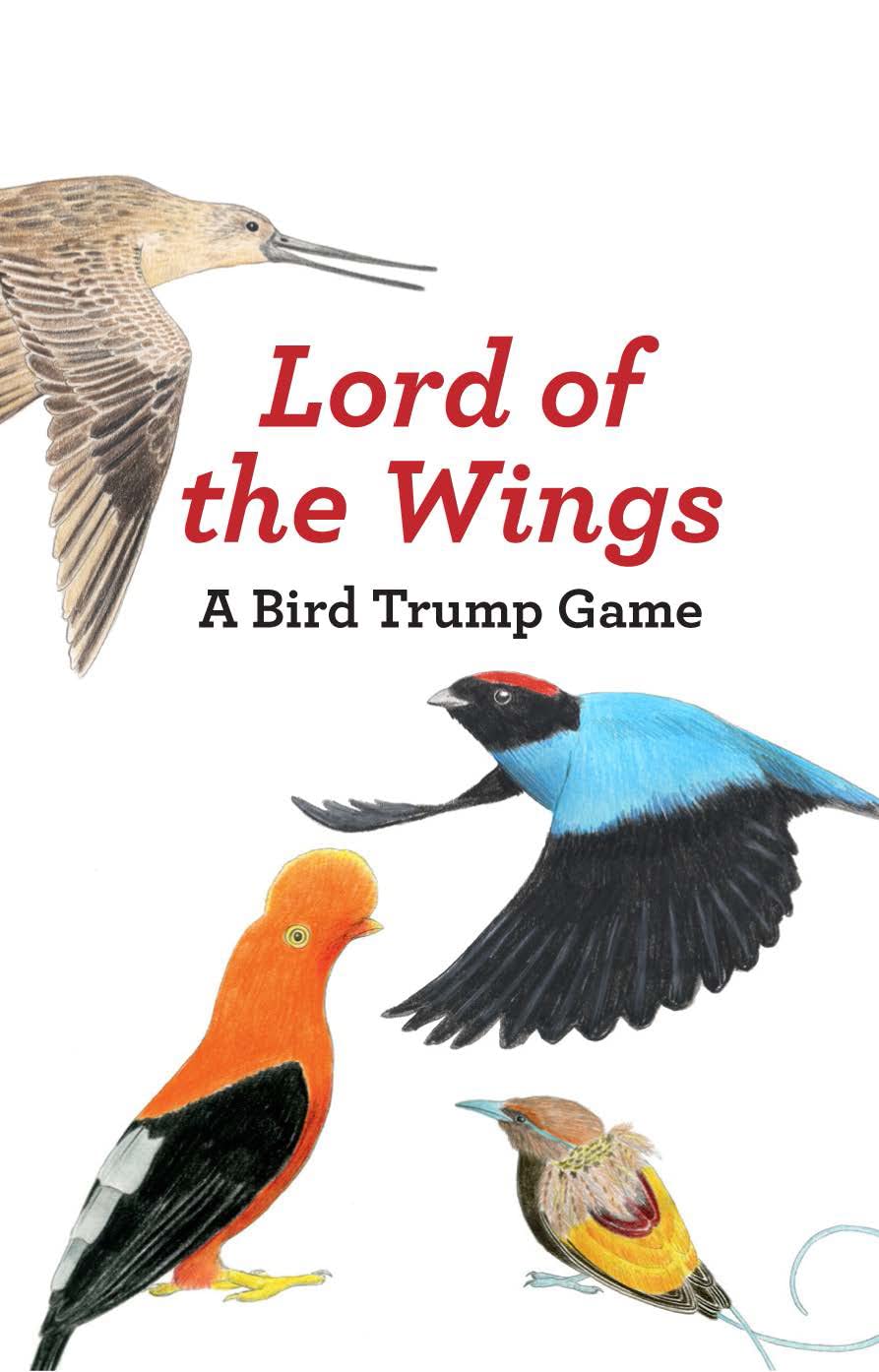 Lord of the Wings: A Bird Trump Game Cards – 6 Mar. 2017
