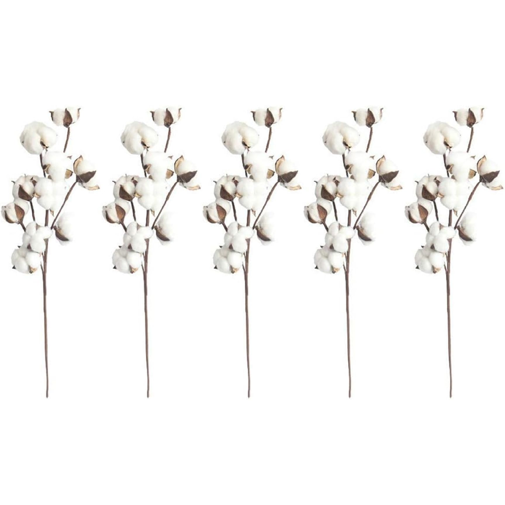Fleurs coton artificielles durables : ne s'effritent pas, 5 tiges 20,5 Pouces pour vase