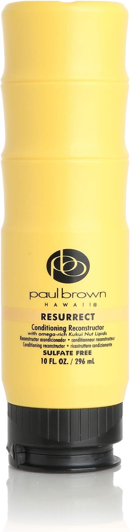 Resurrect Salon Quality Conditioner | Hydrate & Treat Damaged Hair | Antioxidant-Rich Kukui Nut Oil for Ultimate Hair Moisturization | Safe for Color Treated Hair (10 oz.)