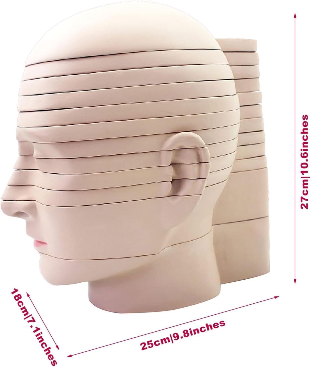 12-częściowy model anatomiczny przekroju ludzkiego mózgu, z cyfrowym oznaczeniem, model demonstracyjny obrazowania Ct MRI do nauczania i wyświetlania medycyny
