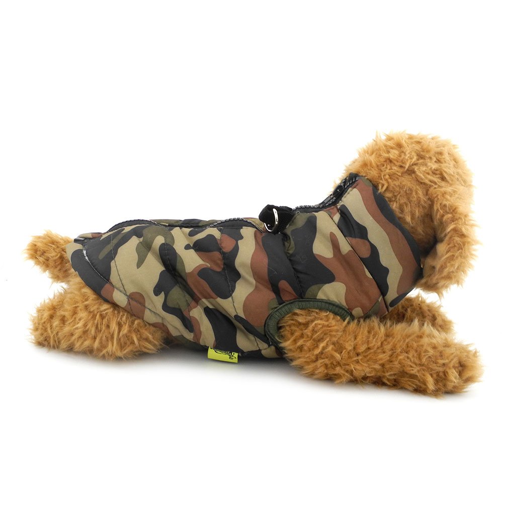 chihuahua camo clothes
