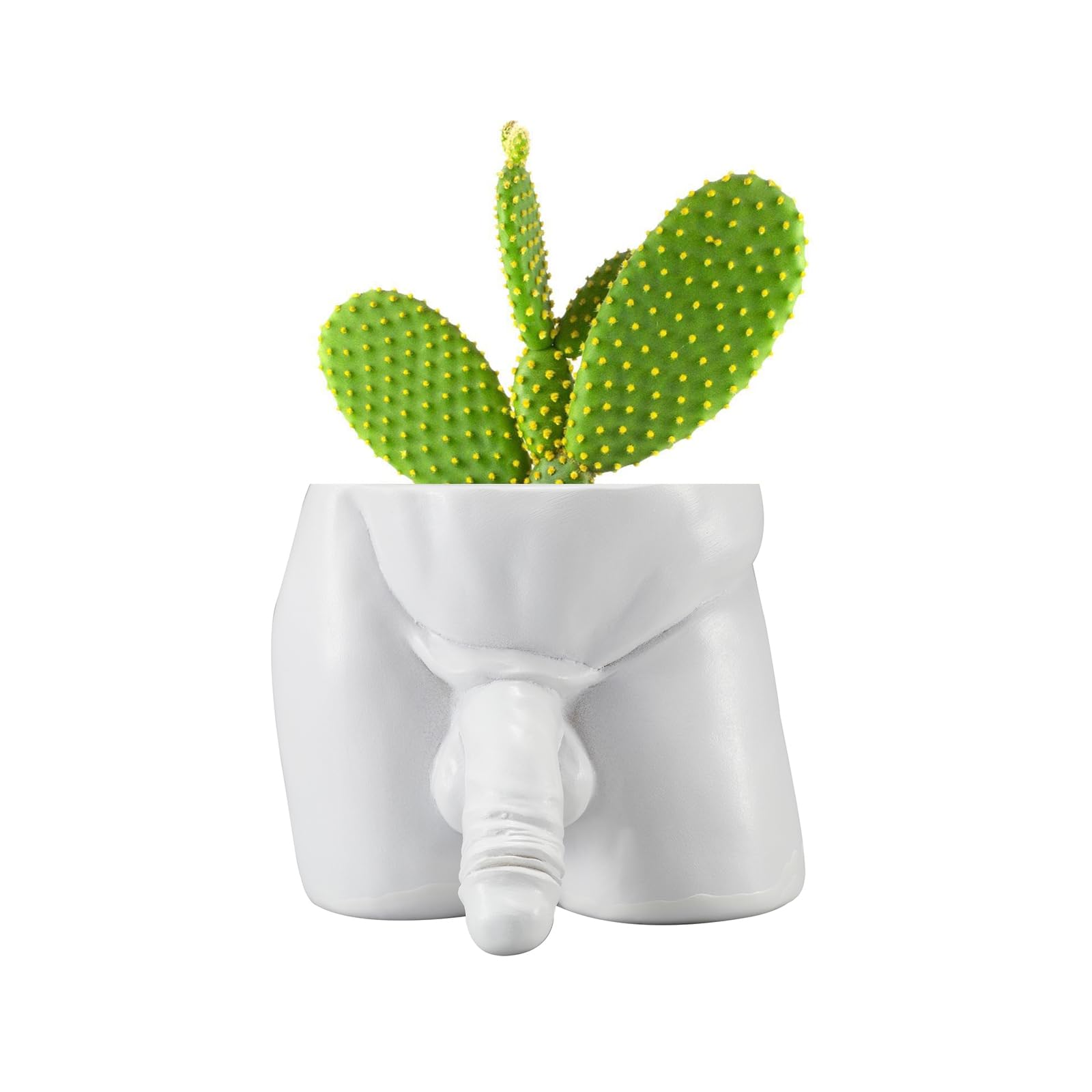 Funny Succulent Pots Body Penis Planter, Unique Plant Pots with Drainage Holes, Cool Vases Gag Gifts for Friends Succulents Cacti Vanilla Home Garden Office Decor Outdoor & Indoor (White)