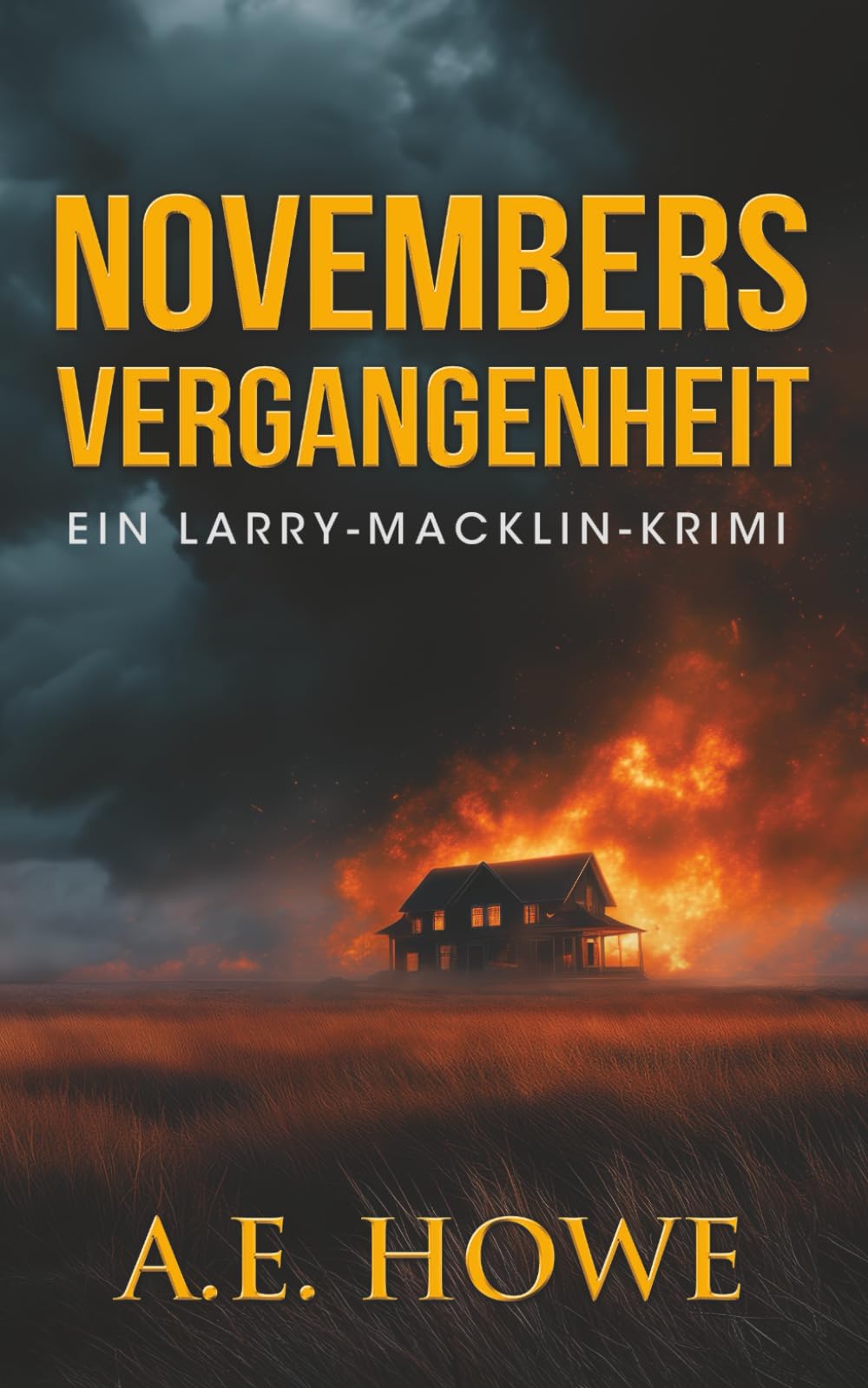 Novembers Vergangenheit (Ein Larry-Macklin-Krimi)