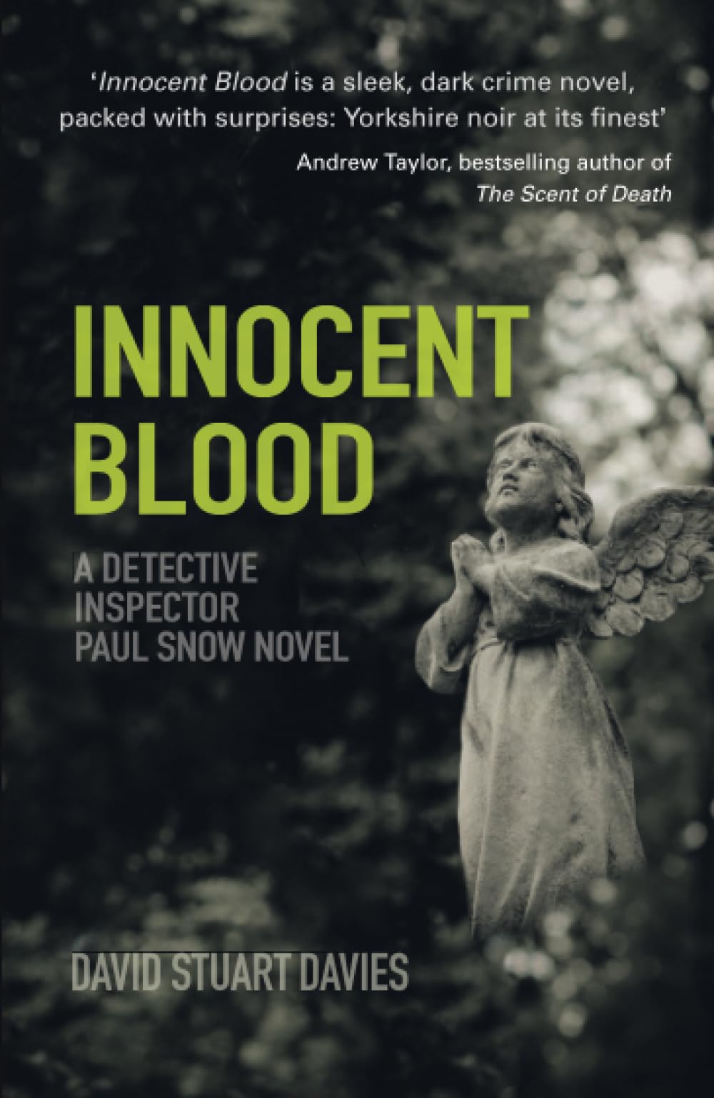 Innocent Blood: A Detective Inspector Paul Snow Investigation 2