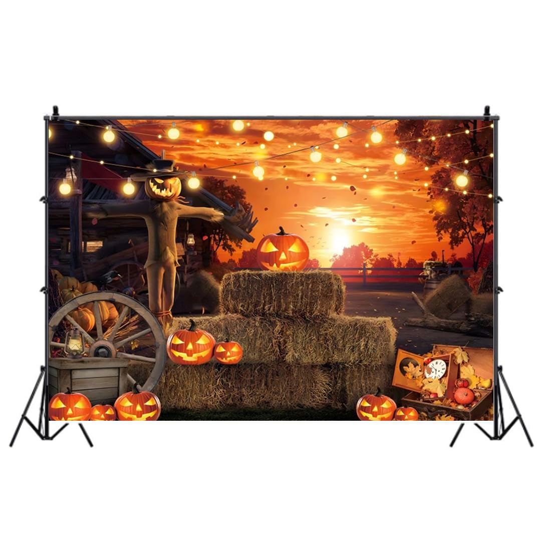 Amazon | 撮影背景布 かわいい ハロウィン かぼちゃ W120×H80cm W150