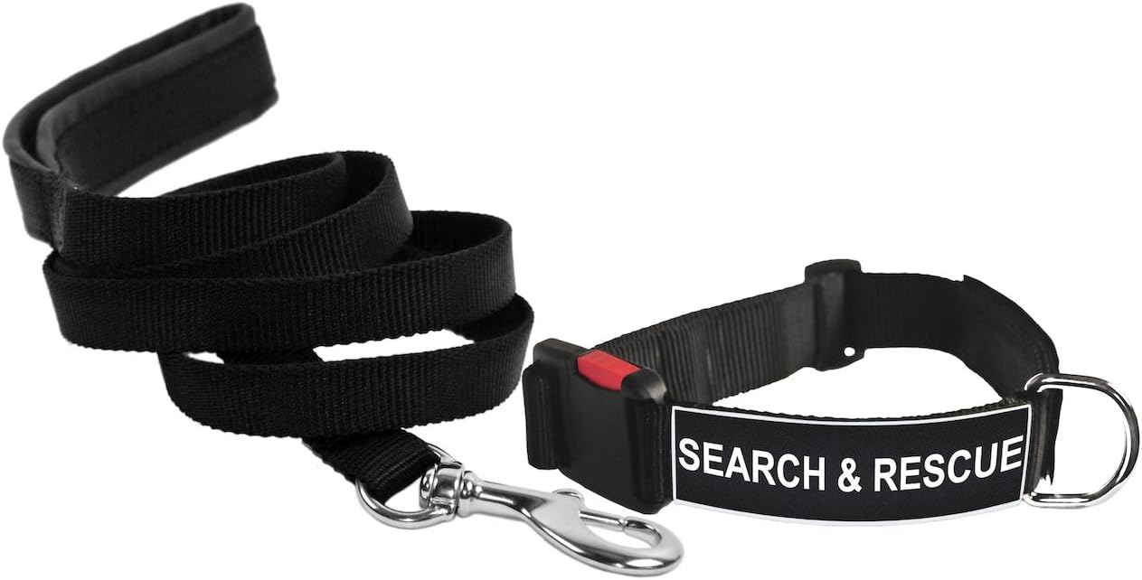 Dean & Tyler Search and Rescue 21 by 26-Inch Patch Collar with 6-Feet Stainless Steel Snap Padded Puppy Leash, Medium, Black
