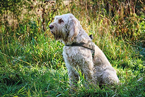 HUNTER Norwegergeschirr Hunting 69 - 93 cm, schwarz