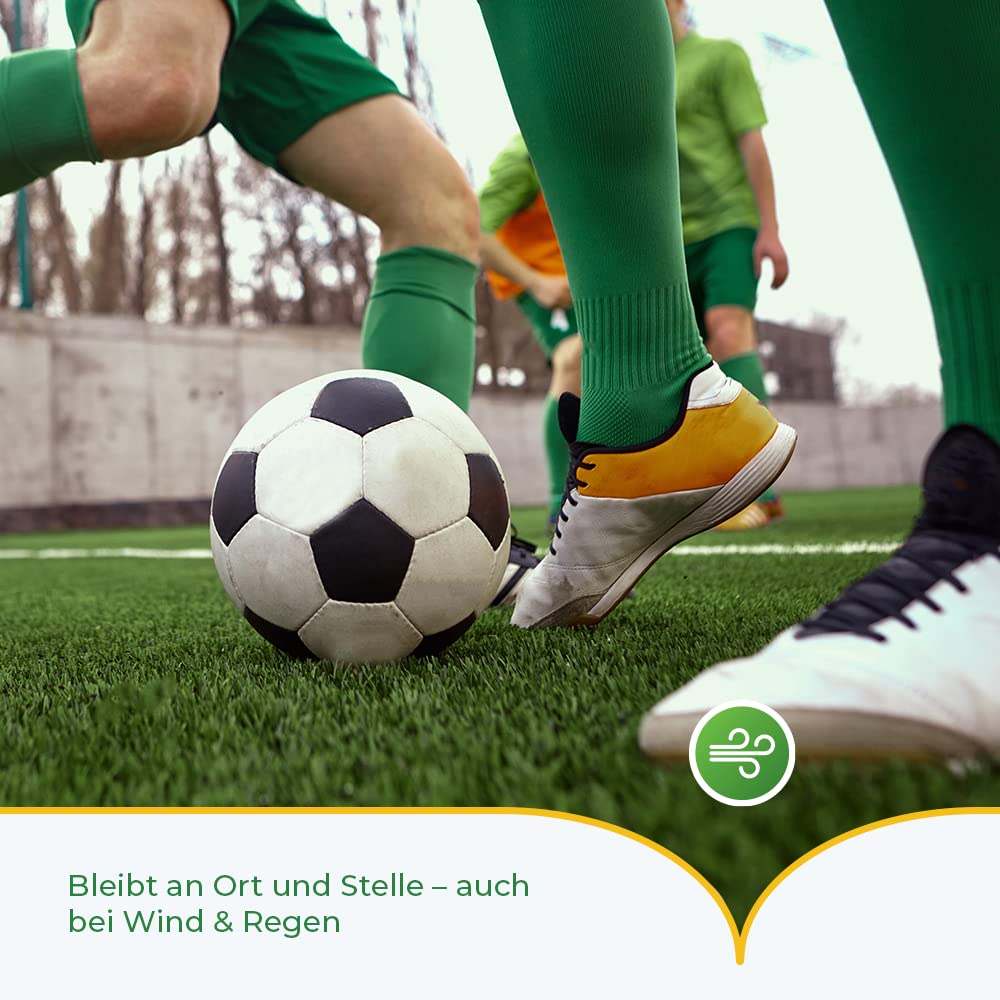 Rasenpellets Schnellkeimend für Sport und Spiel - Rasensamen für Robusten und Widerstandsfähigen Rasen - Rasensaat zur Ansaat und Nachsaat Spielrasen - Premium Schnell Wachsende Grassamen (10 kg)