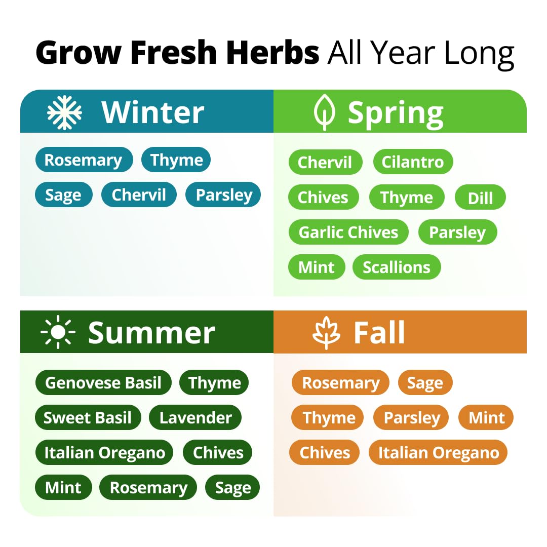 Grow Your Own Herbs: 15 Variety Seed Kit -4