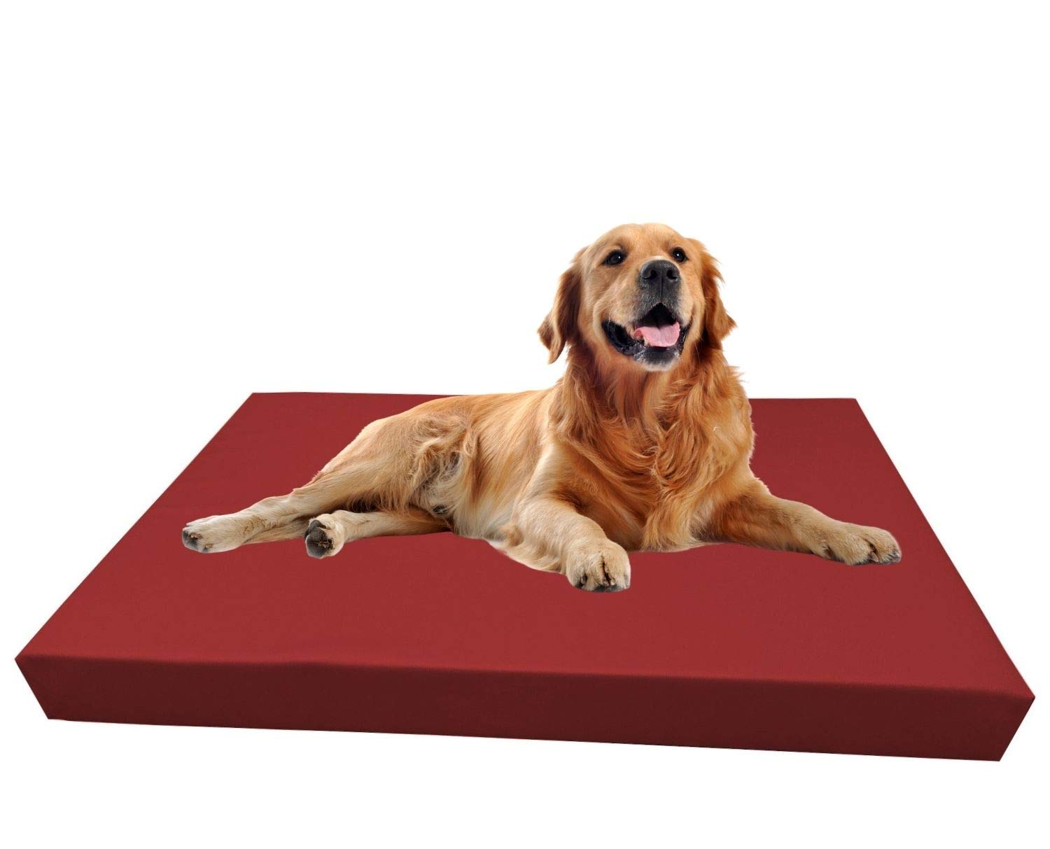 Barry & Lucy® Hundebett aus Kunstleder – Orthopädisches Hundekissen mit abnehmbarem Bezug wasserabweisend & pflegeleicht in 2 Größen Robustes Bett (105x75x10, dunkelrot)