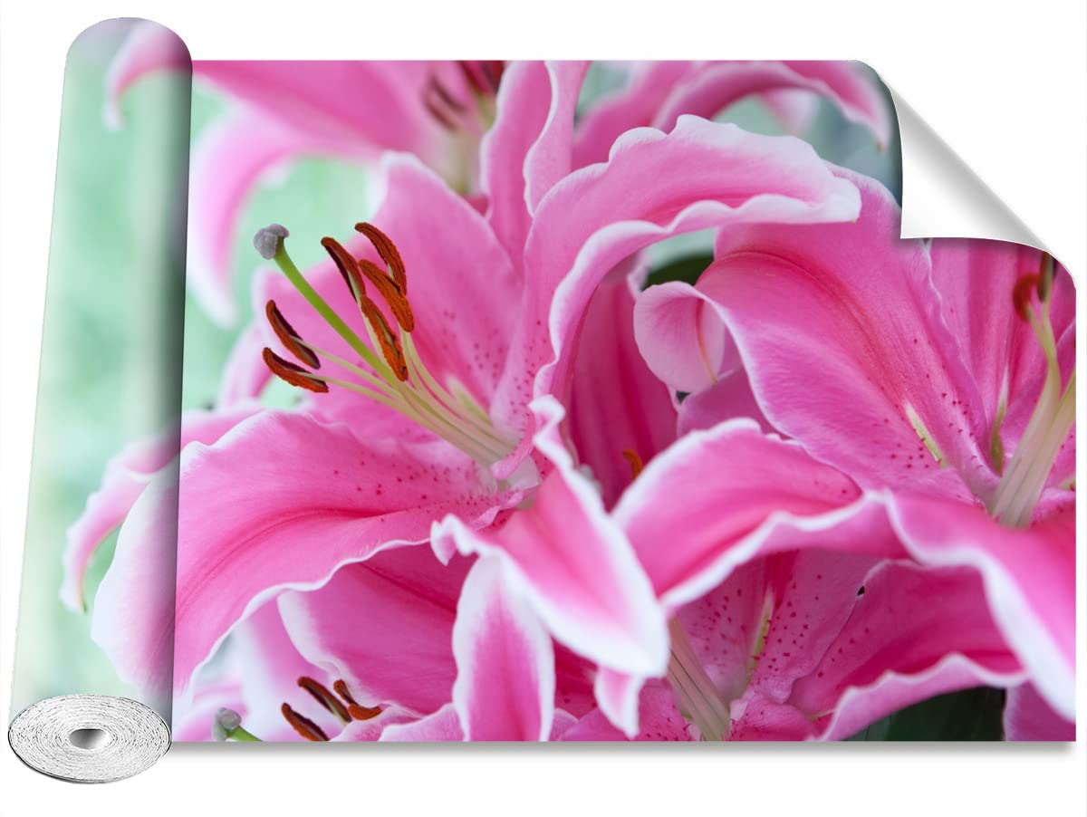 Stickers Muraux Camouflage Lis Rose pour Transformer Votre Salon