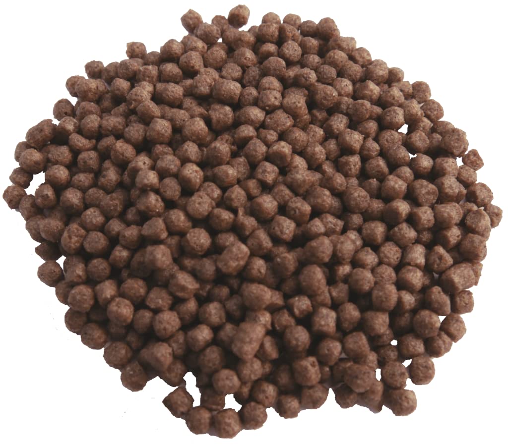Color & Growth High Growth & Color Nourriture de croissance pour carpes koï et bassin 5 kg 3 mm Nourriture complète pour carpes koï