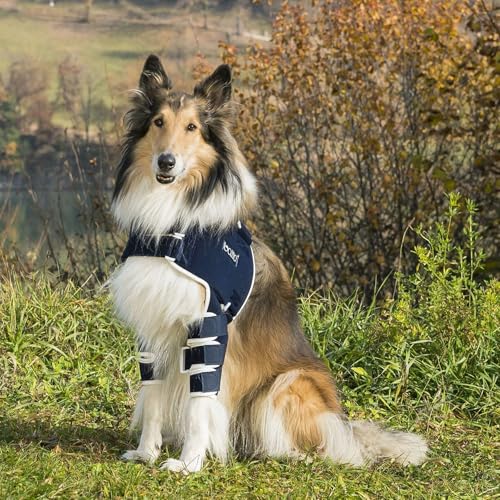 �A�j�t�� (anifull) BT LUX (���֐߃T�|�[�^�[) S �l�C�r�[ S �T�C�Y