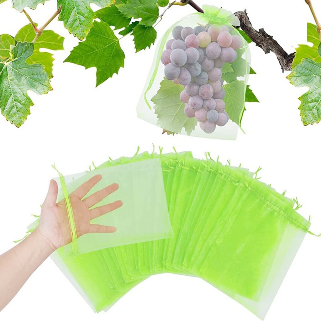 Bolsas de Malla para Frutas, 100 Bolsas de Malla for Cultivo de Fresas, Uvas y Frutas, for Proteger Plantas y Vegetales, for Herramientas de jardín.(Green,15x20cm (100 Pcs))