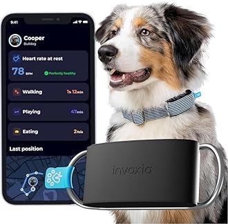 Invoxia Minitailz - No.1 GPS and Health Tracker for Dogs - Escape Alerts, Breath Scan - Real Time Tracking, USB Rechargeable Virtual Zone and Fence - Mini Tracker