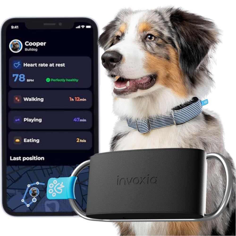 Minitailz - No.1 GPS and Health Tracker for Dogs - Escape Alerts, Breath Scan - Real Time Tracking, USB Rechargeable Virtual Zone and Fence - Mini Tracker