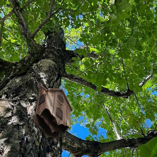 LXNAVIHLY Bat House for Outdoors, Large Double Chamber, 100-Capacity by Lxnavihly - Image 9