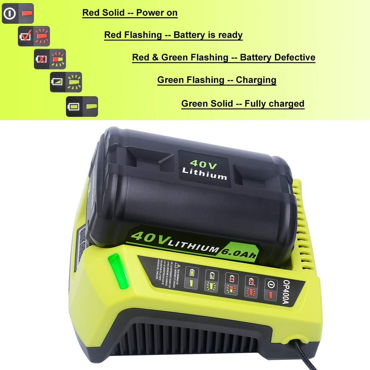 Biswaye 40V Lithium Battery Charger 