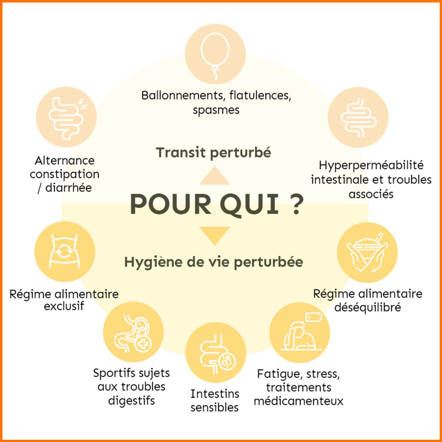 Permea Flore | PROBIOTIQUES + GLUTAMINE | Flore Intestinale et Cicatrisation de la Muqueuse | Idéal Contre la Perméabilité Intestinale | 60 Gélules Gastro-résistantes | Made in France | Terravita