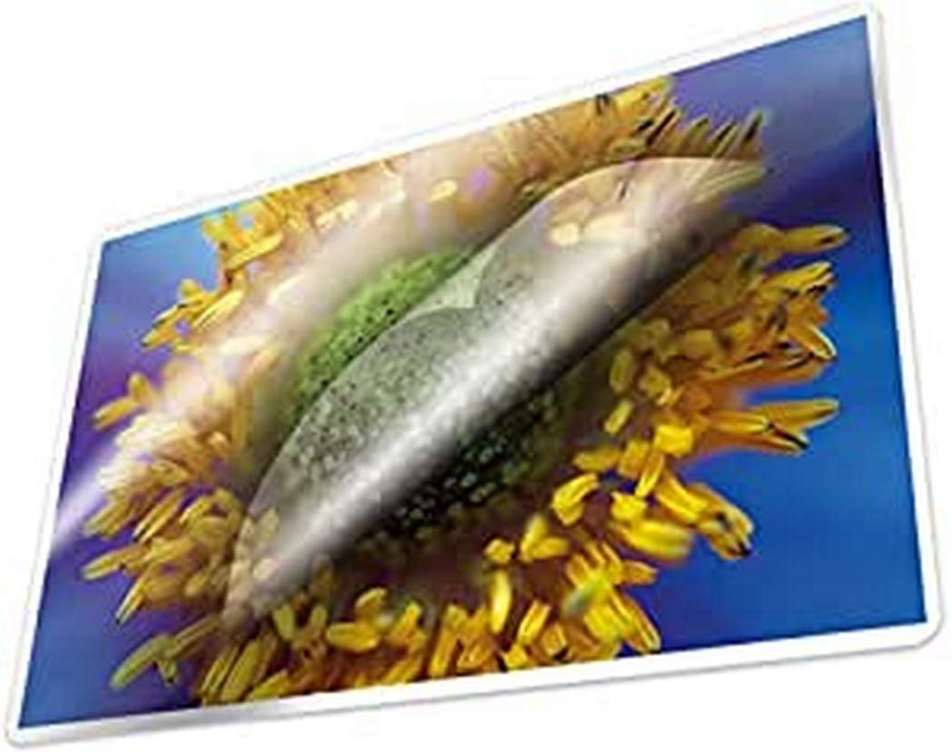 Kangaro Laminating Film A4 216 x 303 mm 100 Micron 100 Sheets