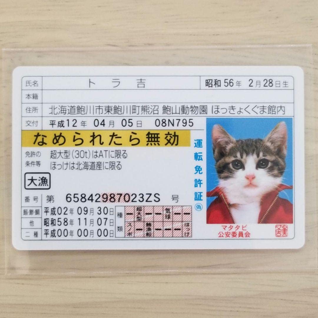 Amazon.co.jp: なめ猫 免許証 トラ吉 なめんなよカード みけこ 猫八