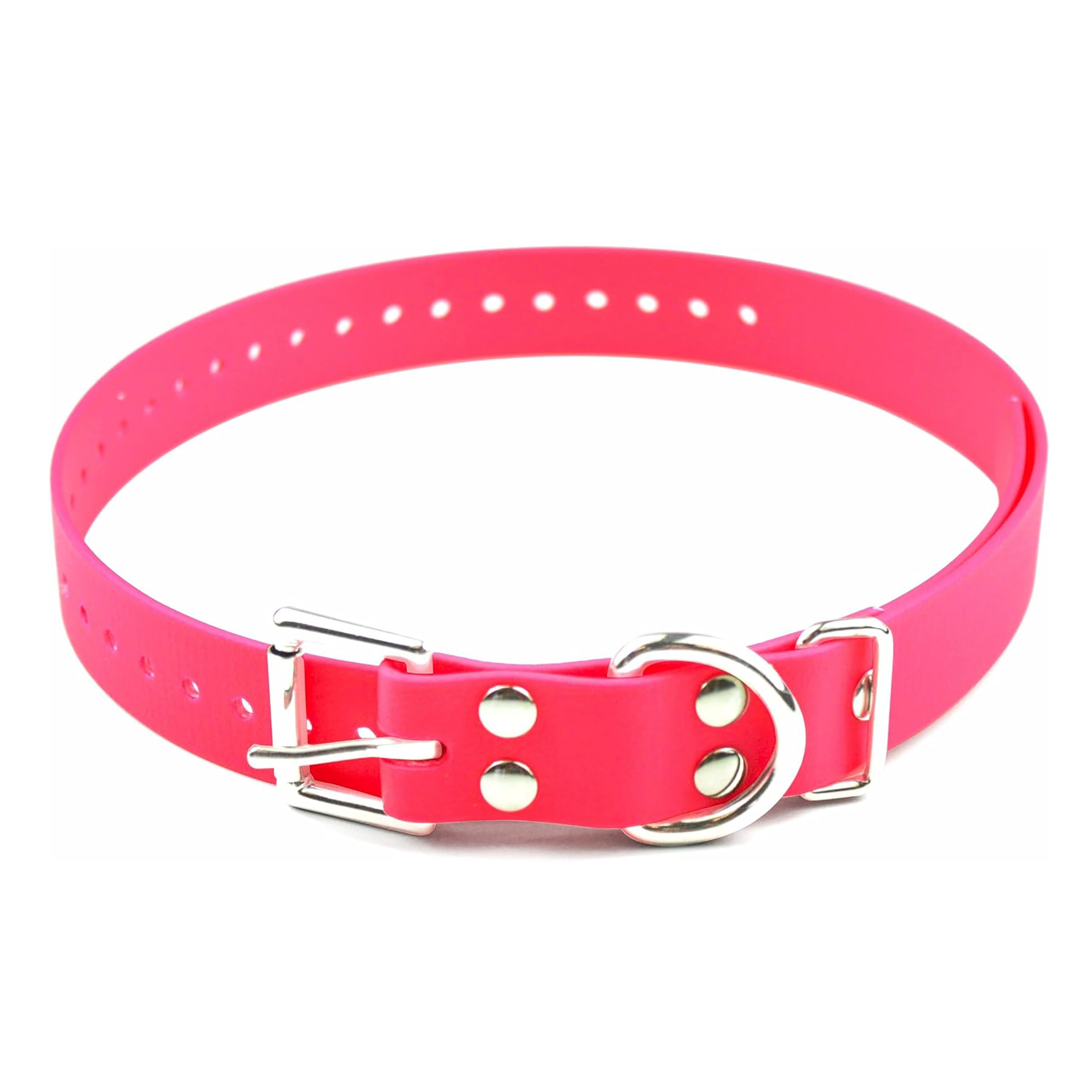 Collier BioThane Educator 2,5 cm étanche et lavable