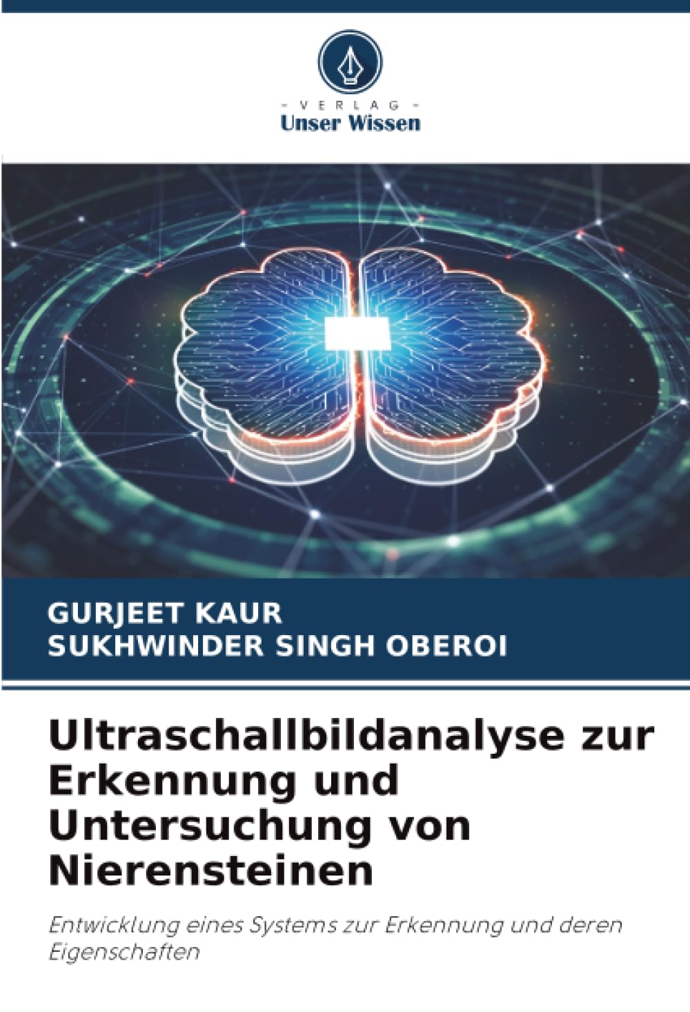 Ultraschallbildanalyse zur Erkennung und Untersuchung von Nierensteinen: Entwicklung eines Systems zur Erkennung und deren Eigenschaften