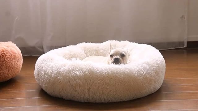 Foto 3 de 7 de Waigg Kii Cama de felpa para perro, suave cama para mascotas, cojín redondo grande para perro