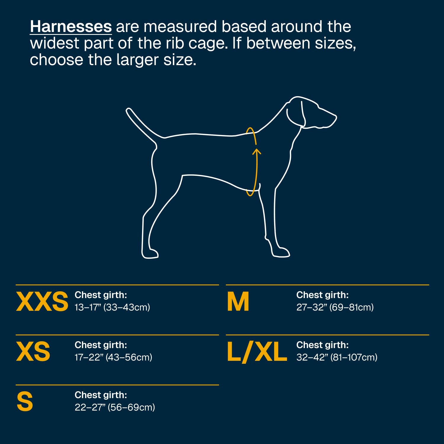 Ruffwear Web Master Harnais pour Chien avec poignée et Boucle améliorée, réglable et léger pour Les promenades et randonnées, Anti-évasion, sans Traction, Respirant et Confortable, Vert rivière, XXS