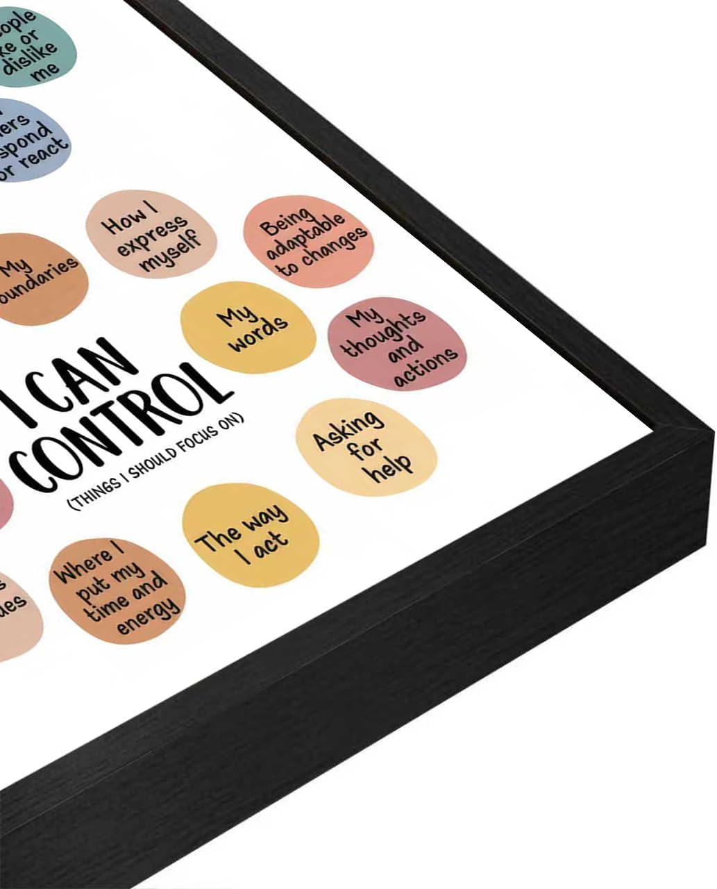 Framed Mental Health Wall Art Therapy Office Wall Decor Things I Can Control Poster School Counselor Canvas Print for Office Classroom Bedroom 12x16in